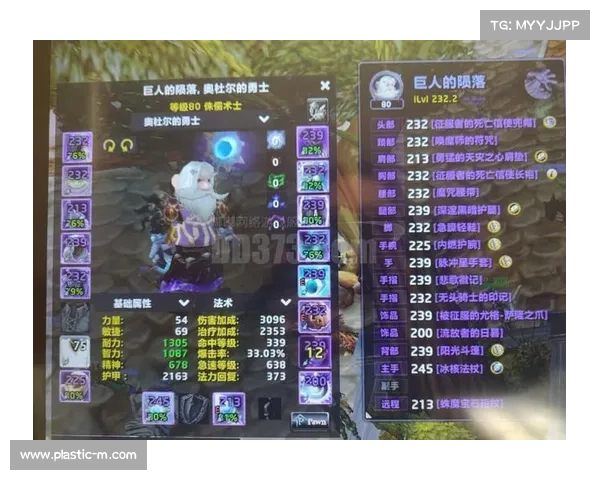 猎人装备混搭攻略:魔兽世界怀旧服,打造最强装备组合 猎人装备混搭攻略:魔兽世界怀旧服,打造最强装备组合